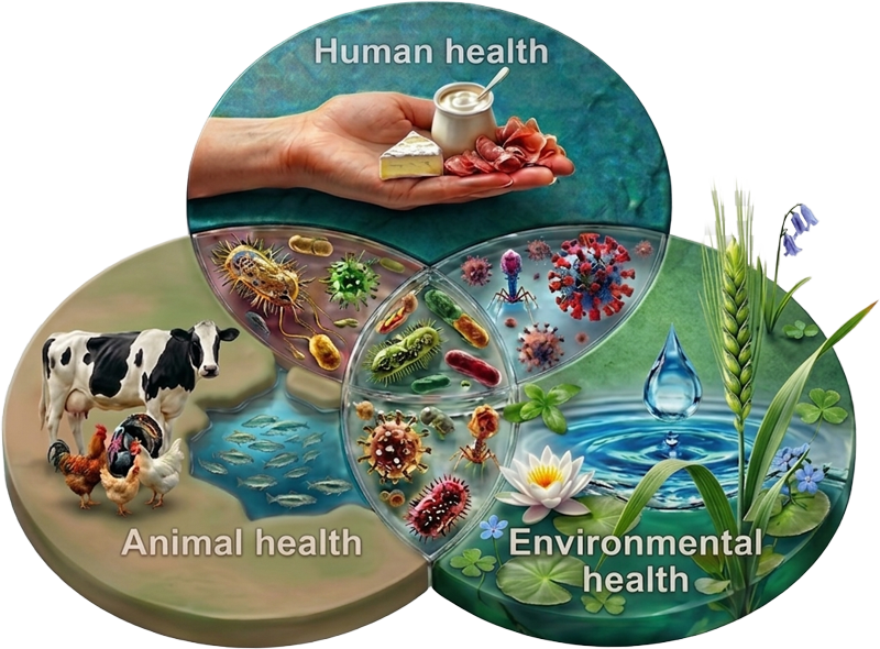 Feed and nutrition product tools