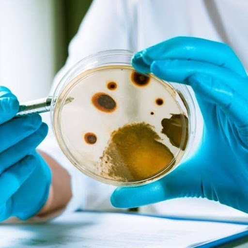 Biocides product category